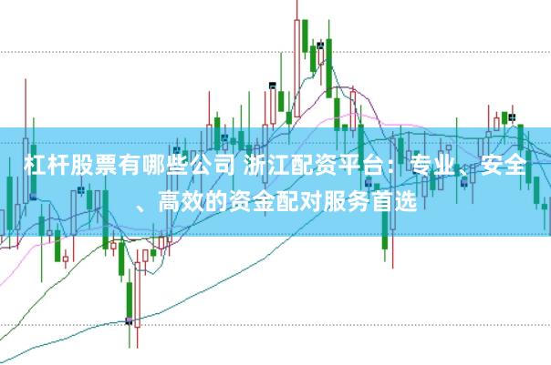 杠杆股票有哪些公司 浙江配资平台：专业、安全、高效的资金配对服务首选