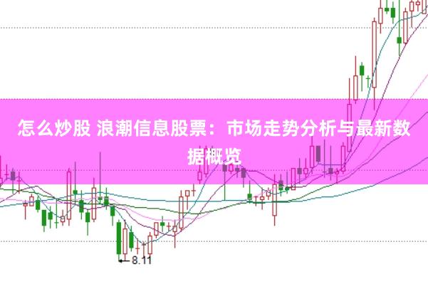 怎么炒股 浪潮信息股票：市场走势分析与最新数据概览