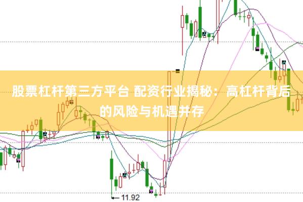 股票杠杆第三方平台 配资行业揭秘：高杠杆背后的风险与机遇并存
