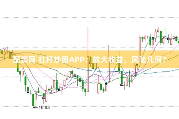 配资网 杠杆炒股APP：放大收益，风险几何？