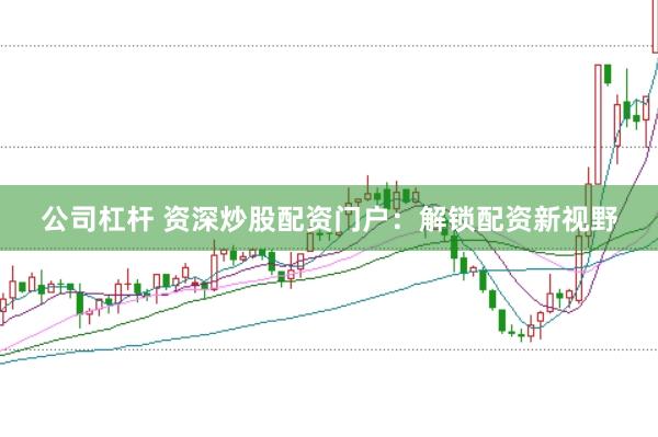 公司杠杆 资深炒股配资门户：解锁配资新视野