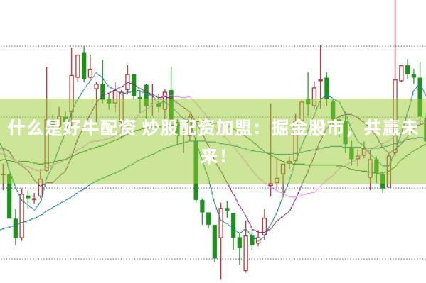 什么是好牛配资 炒股配资加盟：掘金股市，共赢未来！