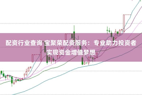 配资行业查询 宝聚荣配资服务：专业助力投资者实现资金增值梦想