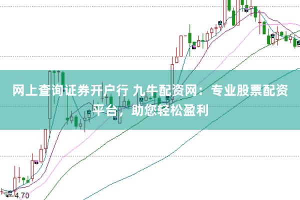 网上查询证券开户行 九牛配资网：专业股票配资平台，助您轻松盈利