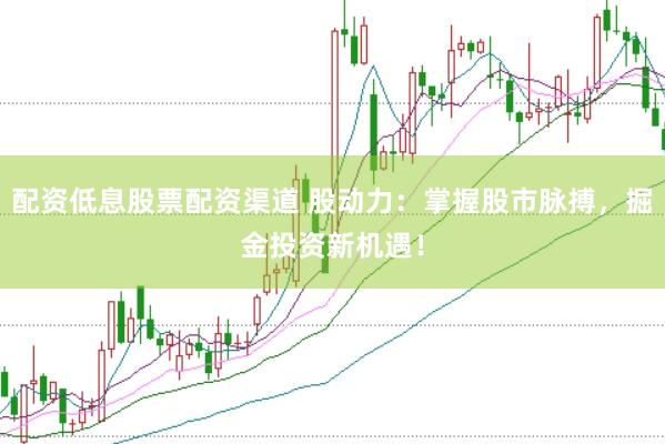 配资低息股票配资渠道 股动力：掌握股市脉搏，掘金投资新机遇！