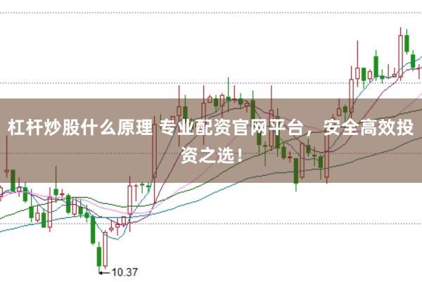 杠杆炒股什么原理 专业配资官网平台，安全高效投资之选！