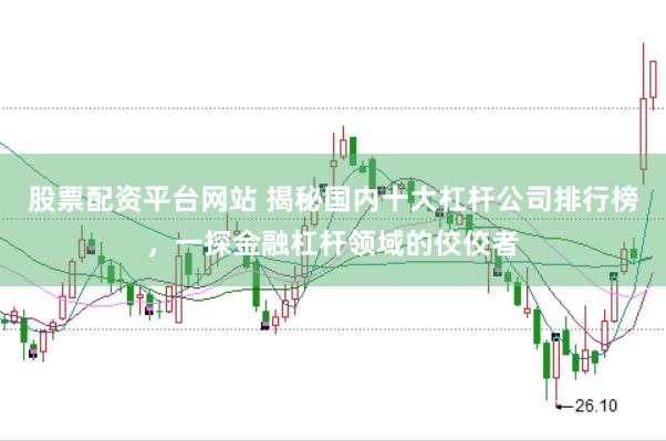 股票配资平台网站 揭秘国内十大杠杆公司排行榜，一探金融杠杆领域的佼佼者