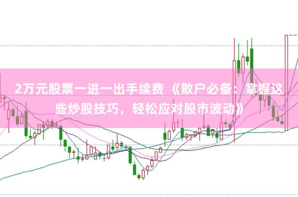 2万元股票一进一出手续费 《散户必备：掌握这些炒股技巧，轻松应对股市波动》