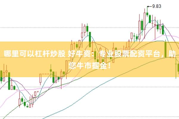 哪里可以杠杆炒股 好牛资：专业股票配资平台，助您牛市掘金！