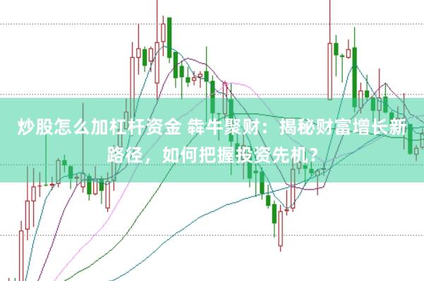 炒股怎么加杠杆资金 犇牛聚财：揭秘财富增长新路径，如何把握投资先机？