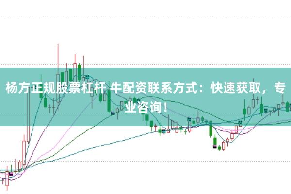 杨方正规股票杠杆 牛配资联系方式：快速获取，专业咨询！