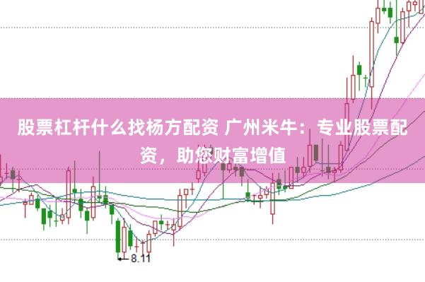 股票杠杆什么找杨方配资 广州米牛：专业股票配资，助您财富增值