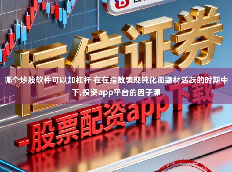哪个炒股软件可以加杠杆 在在指数表现钝化而题材活跃的时期中下，投资app平台的因子漂
