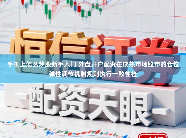 手机上怎么炒股新手入门 外盘开户配资在成熟市场股市的仓位弹性调节机制规则执行一致性检